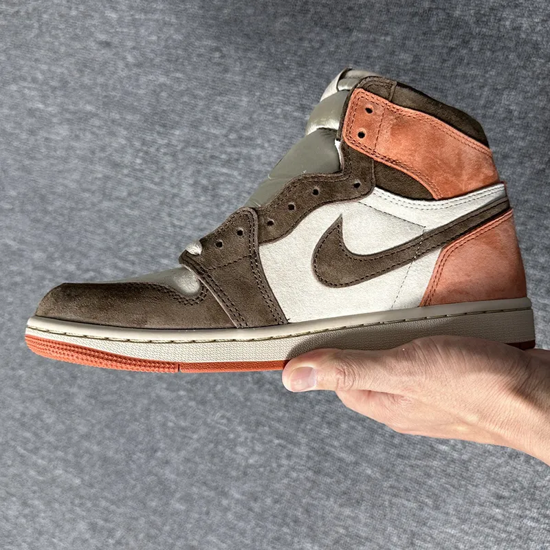 نایک ایر جردن وان Jordan 1 Retro High OG SP Dusted Clay - تصویر 2