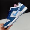 کفش نایک اس بی دانک لو بورن ریزد Nike SB Dunk Low Born x Raised