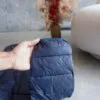 جکت لایت سرمهای کلاه دار Livergy جکت لایت سرمهای کلاه دار Livergy